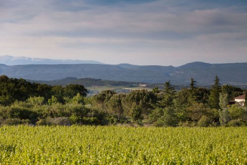Nature : Le Parc Naturel Régional du Luberon