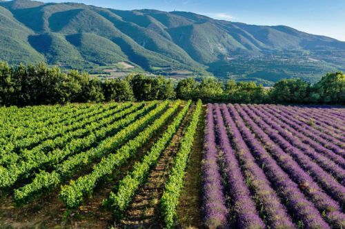 Discover the Luberon by bike