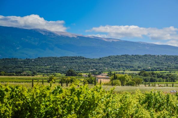 Sale House Mazan 10 Rooms 455 m²