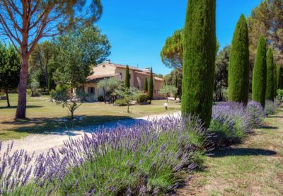 Vente Maison Pernes-les-Fontaines 15&nbsp;Pièces 520&nbsp;m²