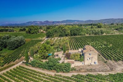 Vente Maison Mazan 9&nbsp;Pièces 316&nbsp;m²
