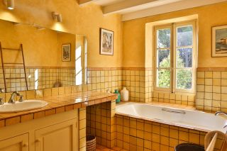 house 15 Rooms for sale on LES VIGNERES (84300)