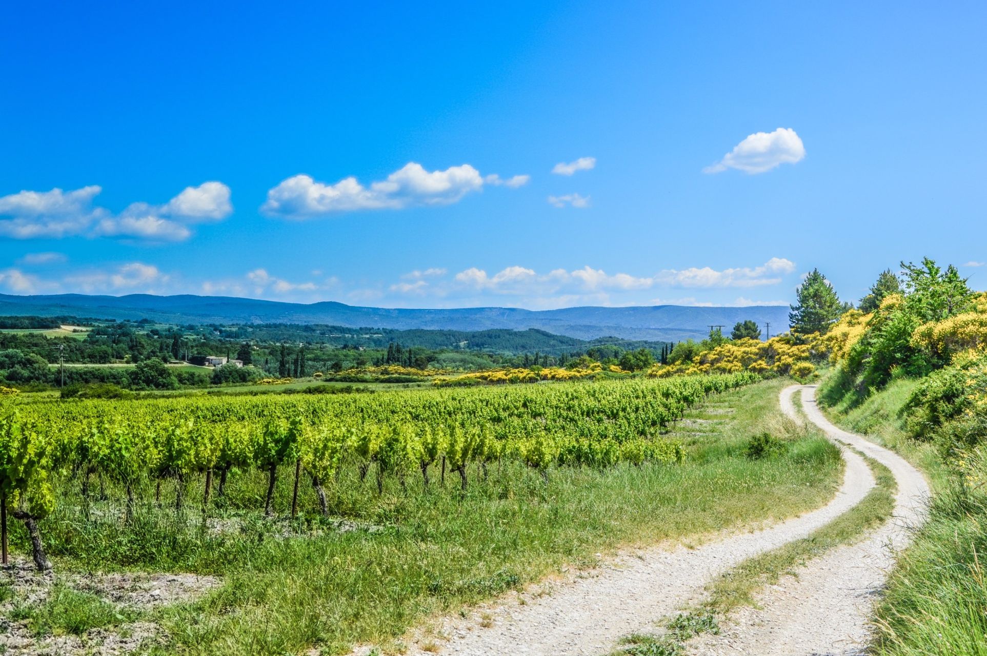 maison 12 Pièces en vente sur MORMOIRON (84570)