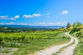 maison 12 Pièces en vente sur MORMOIRON (84570)