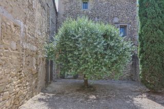 house 7 Rooms for sale on SAUMANE DE VAUCLUSE (84800)