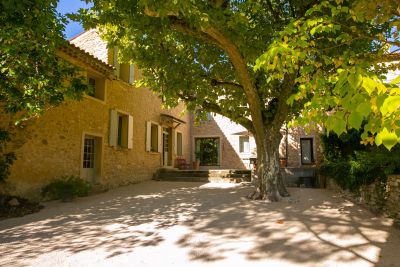 Sale House Malaucène 15 Rooms 540 m²