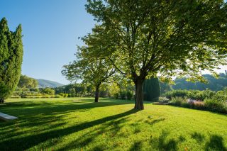 maison 12 Pièces en vente sur VAUGINES (84160)