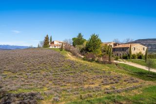 maison 81 Pièces en vente sur OPPEDETTE (04110)