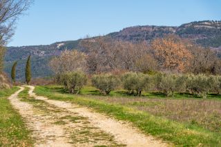 maison 81 Pièces en vente sur OPPEDETTE (04110)