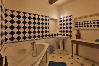 maison 18 Pièces en vente sur REILLANNE (04110)