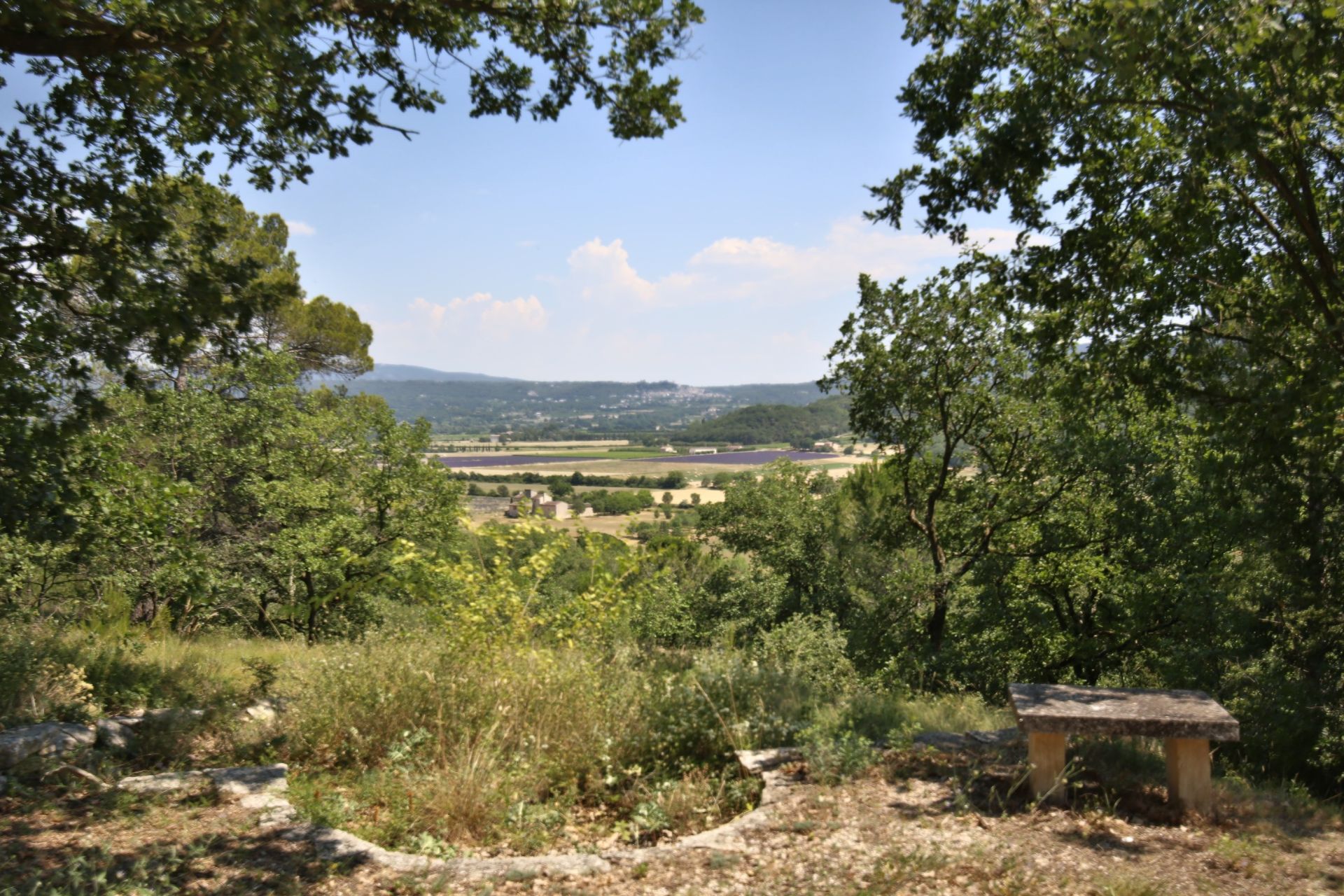 house 10 Rooms for sale on GOULT (84220)