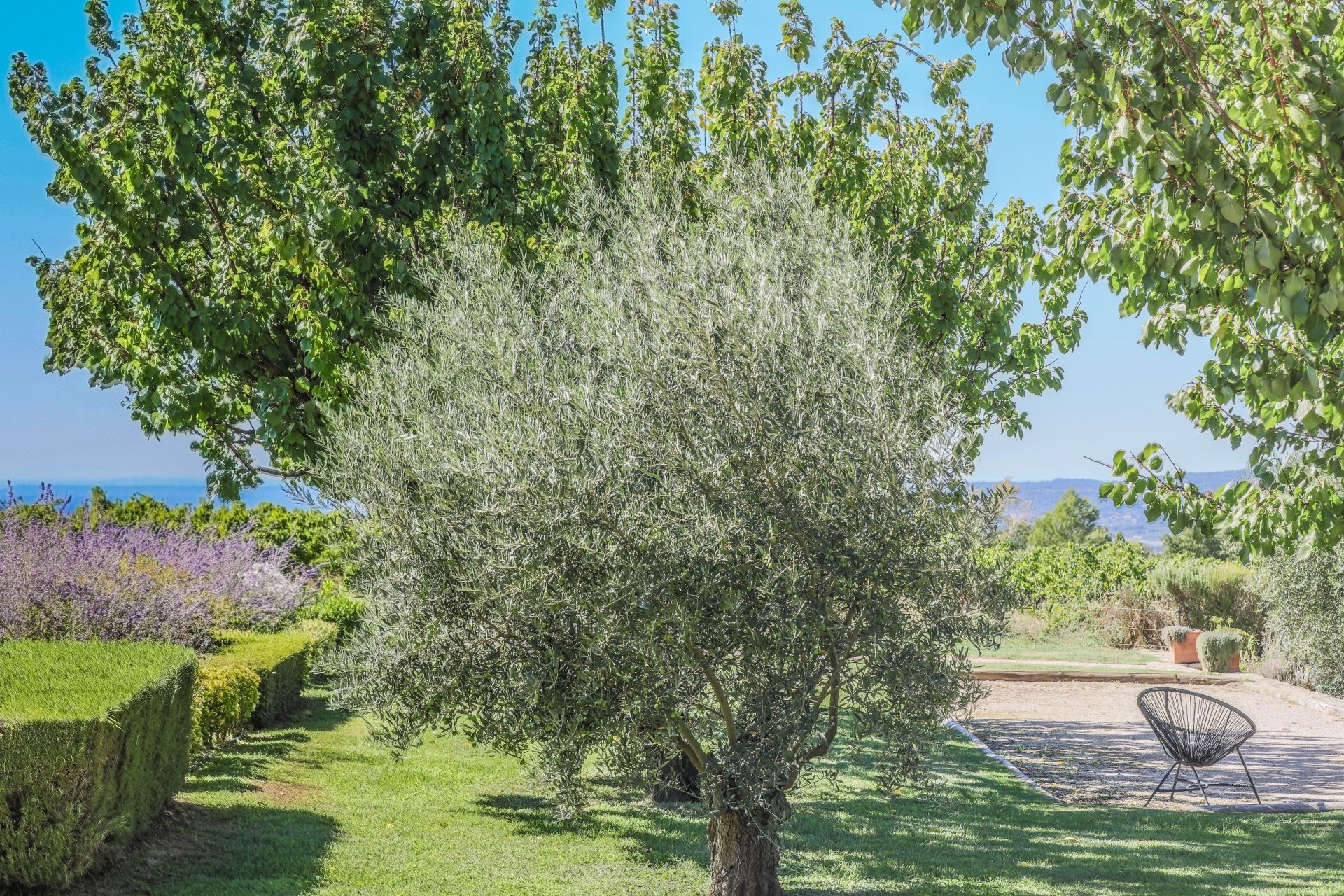 propriété 11 Pièces en vente sur MENERBES (84560)
