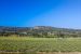 house 15 Rooms for seasonal rent on BONNIEUX (84480)