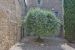 house 7 Rooms for sale on SAUMANE DE VAUCLUSE (84800)