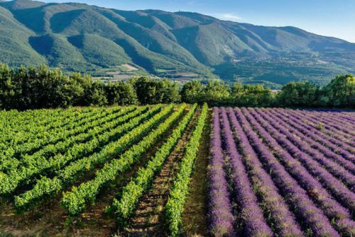 Découvrir le Luberon en vélo