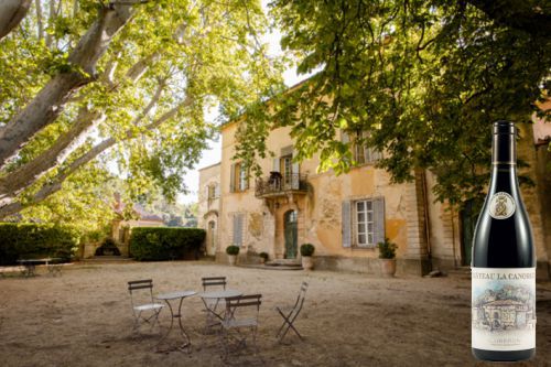 Vineyard: castle La Canorgue