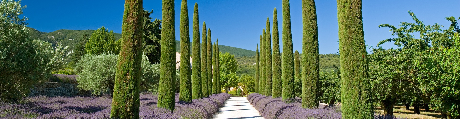 Luxury real estate in Provence and the Luberon Provence Luberon
