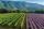 Discover the Luberon by bike